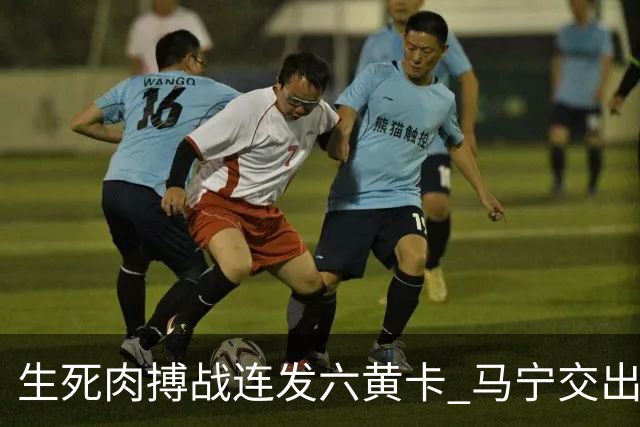 生死肉搏战连发六黄卡 马宁交出世界杯主哨首秀答卷