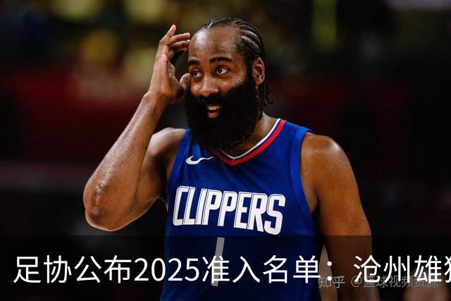 足协公布2025准入名单：沧州雄狮、广州队无缘